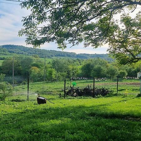 Вила "Намасте" С Панорамна Гледка И Камина На Дърва Lovecs Kültér fotó